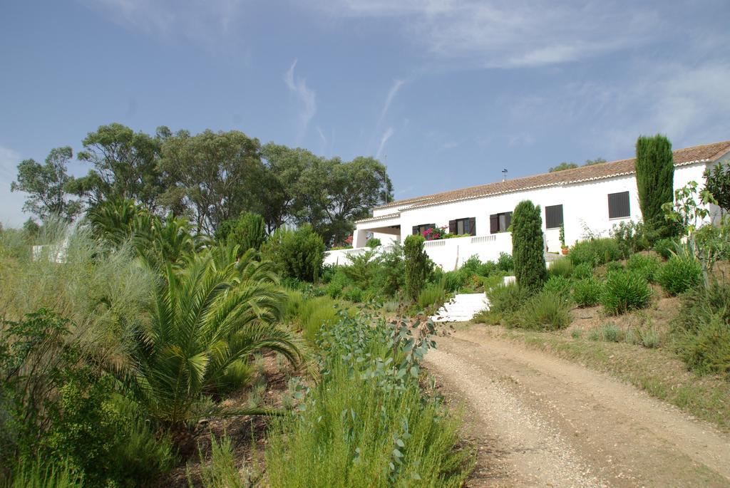 Herdade De Vale Covo - Agroturismo Mértola Exterior foto